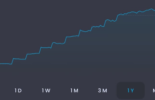 The year-long graph of my ROI portfolio