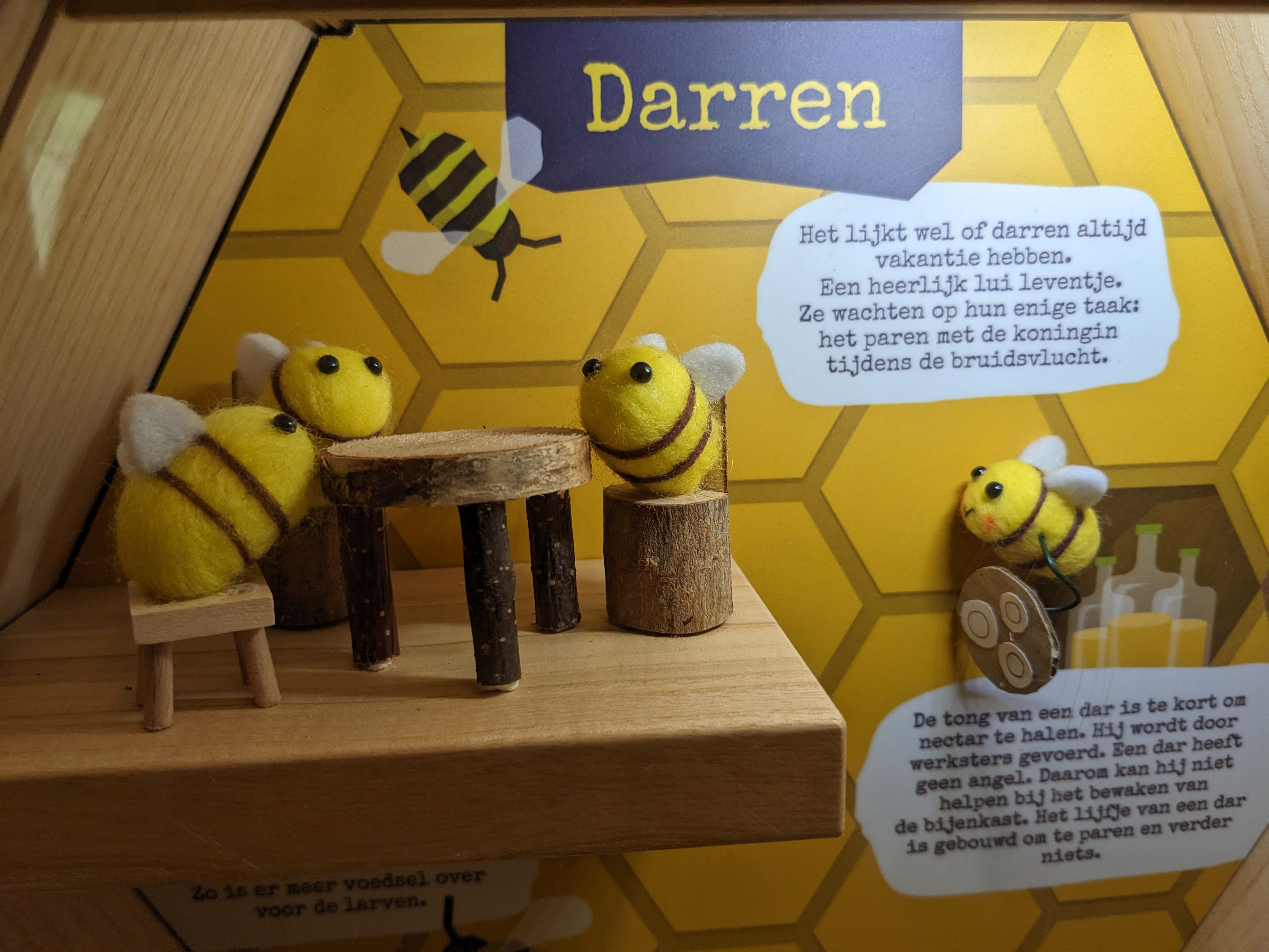 Schattige hexagon vormige diorama over bijen, specifiek darren.